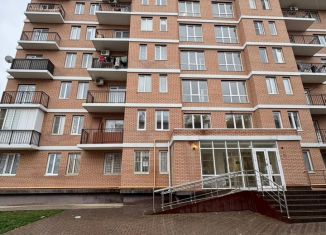 Продажа 2-комнатной квартиры, 48 м2, Анапа, Заводская улица