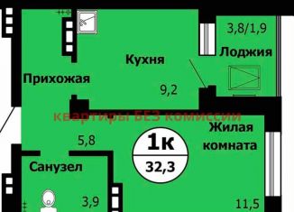 1-комнатная квартира на продажу, 32.3 м2, Красноярск, Октябрьский район, Лесопарковая улица, 43