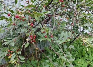 Дом на продажу, 12 м2, территория Максаковское