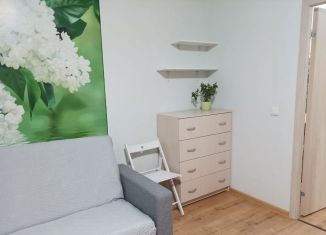 Квартира в аренду студия, 25 м2, Санкт-Петербург, улица Крыленко, 1к1с3