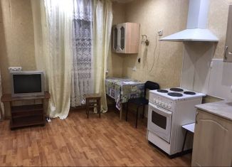 Сдача в аренду квартиры студии, 25 м2, Пермь, Ленинский район, улица Пушкина, 108А