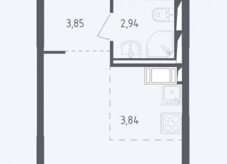 Продаю квартиру студию, 22.4 м2, деревня Мисайлово, микрорайон Пригород Лесное, к4.2