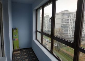 Квартира в аренду студия, 30 м2, Санкт-Петербург, Московский проспект, 73к5, метро Балтийская