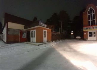 Помещение свободного назначения на продажу, 117 м2, Бийск, улица Вячеслава Шишкова, 29Б