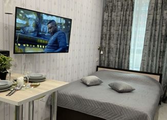 Квартира в аренду студия, 18 м2, Москва, проезд Серебрякова, 11к1, ЖК Сильвер