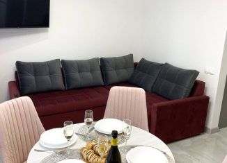 Сдаю в аренду 3-комнатную квартиру, 47 м2, Сочи, переулок Трунова, 6к6, микрорайон Завокзальный