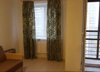 Квартира в аренду студия, 29 м2, Мурино, Новая улица, 13к1