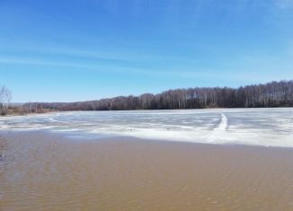 Продаю земельный участок, 3700 сот., село Большие Ключи, Стадионная улица, 17