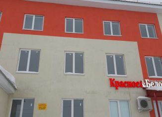 Продажа помещения свободного назначения, 173 м2, село Киргиз-Мияки, Школьный переулок, 2