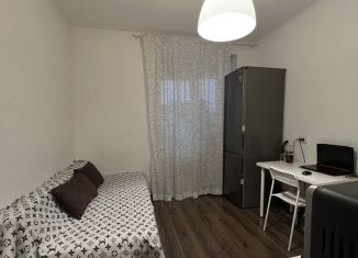 Аренда 1-комнатной квартиры, 35 м2, Санкт-Петербург, проспект Ветеранов, 169к1, Красносельский район