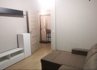 Сдам 1-комнатную квартиру, 33 м2, Мурино, Воронцовский бульвар, ЖК Гринландия-2