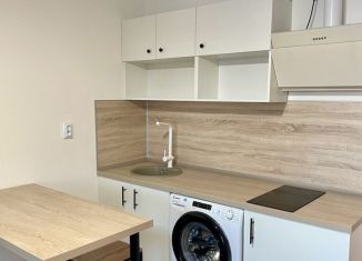 Сдается квартира студия, 22.6 м2, Мурино, проспект Авиаторов Балтики, ЖК Авиатор