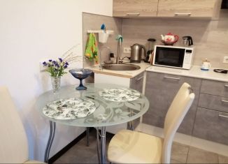 Аренда квартиры студии, 28 м2, поселок Бугры, Петровский бульвар, ЖК Энфилд