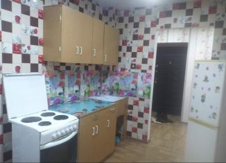 1-комнатная квартира в аренду, 35 м2, Новоалтайск, улица Анатолия, 94