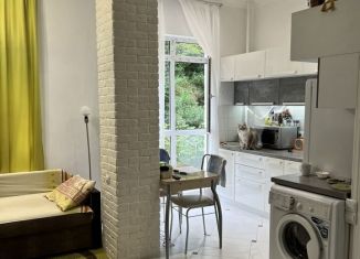 Сдается квартира студия, 22.4 м2, Сочи, улица Яна Фабрициуса, 294, микрорайон Яна Фабрициуса