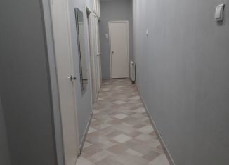 Сдается 2-комнатная квартира, 52.2 м2, Санкт-Петербург, Батайский переулок, 10, муниципальный округ Семеновский