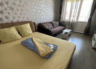 Сдам 1-ком. квартиру, 30 м2, Красноярск, улица Карамзина, 14