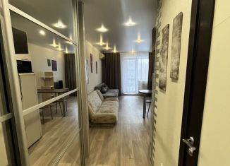 Аренда квартиры студии, 25 м2, Хабаровск, улица Фурманова, 8