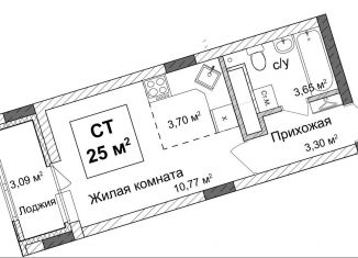 Продаю квартиру студию, 24.5 м2, Нижний Новгород, метро Горьковская, улица Ванеева, 40Б