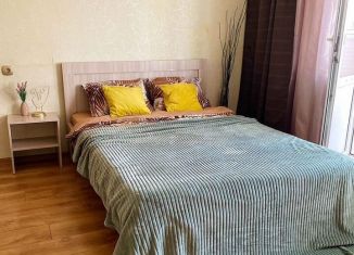 Сдаю однокомнатную квартиру, 35 м2, Алтайский край, Новгородская улица, 20