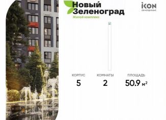 Двухкомнатная квартира на продажу, 50.9 м2, деревня Рузино