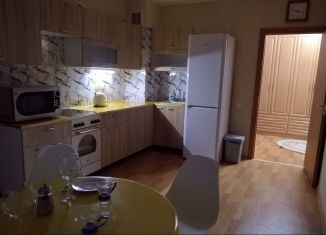 Сдаю в аренду 2-ком. квартиру, 60 м2, Санкт-Петербург, улица Фёдора Абрамова, 21к3