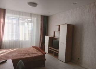 Сдам в аренду квартиру студию, 27 м2, Абакан, улица Стофато, 16А