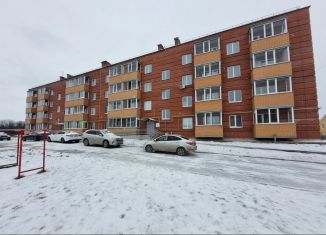 Сдача в аренду 1-комнатной квартиры, 32.5 м2, Пермский край, Речная улица, 9