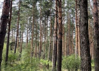Земельный участок на продажу, 10 сот., Санское сельское поселение