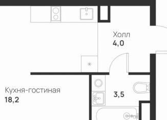 Продажа 1-ком. квартиры, 26.2 м2, посёлок Газопровод, посёлок Газопровод, 13с7