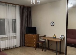 Сдаю 1-ком. квартиру, 37 м2, Санкт-Петербург, проспект Энергетиков, 9к3, метро Новочеркасская