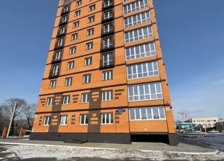 Продаю 2-комнатную квартиру, 93.3 м2, Благовещенск, Конная улица, 150