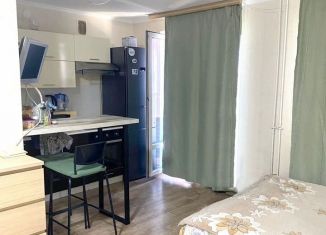 Продам квартиру студию, 26.8 м2, поселок городского типа Стройкерамика, улица Николая Симонова, 8