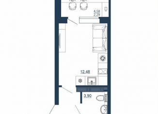 Продам квартиру студию, 22.3 м2, Воронеж, Московский проспект, 66