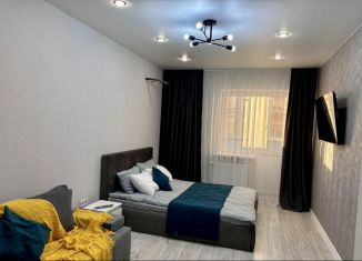 Сдается 1-ком. квартира, 40 м2, Ростов-на-Дону, улица Нансена, 103/1/8, ЖК Звезда Столицы