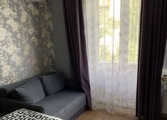 Сдам квартиру студию, 20 м2, Ялта, улица Тренёва, 3