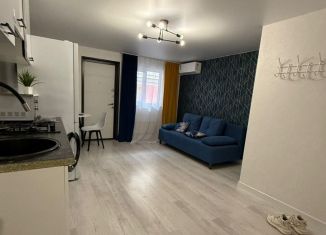 Сдается в аренду квартира студия, 27 м2, посёлок городского типа Сириус, Приреченская улица, 1