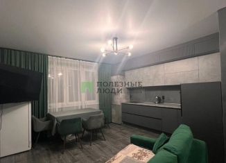 Сдается 2-ком. квартира, 56 м2, Челябинск, Телевизионная улица, 16А