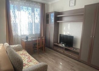 Сдача в аренду 1-ком. квартиры, 45 м2, Москва, Вешняковская улица, 18к1, район Вешняки