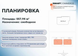 Продам помещение свободного назначения, 558 м2, Санкт-Петербург, Ириновский проспект, 34, муниципальный округ Ржевка