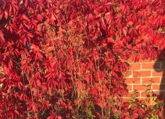 Продается помещение свободного назначения, 199.5 м2, Реж, Спортивная улица, 1/1