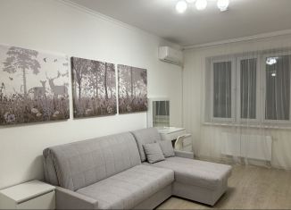 Сдача в аренду 1-ком. квартиры, 40 м2, Москва, Судостроительная улица, 17, метро Коломенская