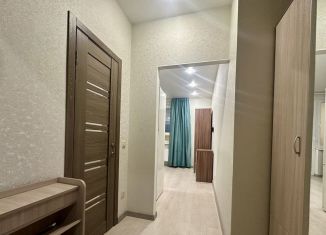 Продажа квартиры студии, 20 м2, Краснодар, улица Западный Обход, 39/2к2, улица Западный Обход