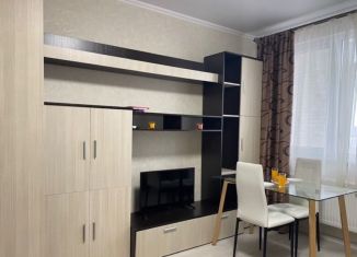 Сдам квартиру студию, 30 м2, Анапа, улица Толстого, 130к1