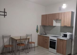 Сдается квартира студия, 33 м2, Электросталь, Ногинское шоссе, 36к4