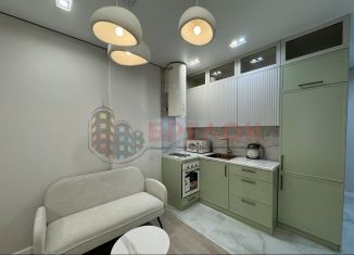 Продам квартиру студию, 28 м2, Ростов-на-Дону, Красноармейская улица, 157В/83с3