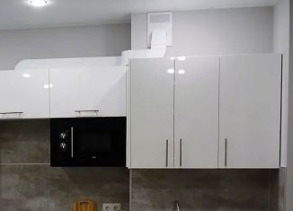 Сдается в аренду однокомнатная квартира, 43 м2, Ростов-на-Дону, Таврическая улица, 4