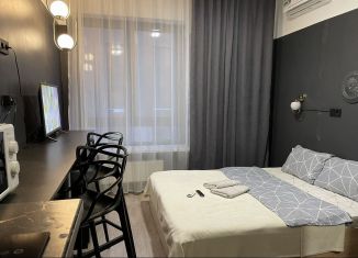 Сдается квартира студия, 21 м2, Москва, Шереметьевская улица, 26