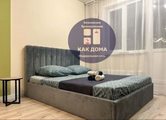 Квартира в аренду студия, 30 м2, Бурятия, улица Бабушкина, 1к4