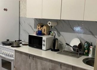 Сдаю в аренду 1-комнатную квартиру, 43 м2, Пермь, Запорожская улица, 1, ЖК Авиатор